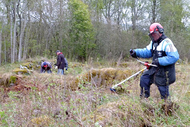 Vårdugnad ved Østensjøvannet 2014